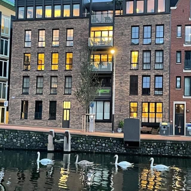 appartementen te huur op Wiborgeiland 168