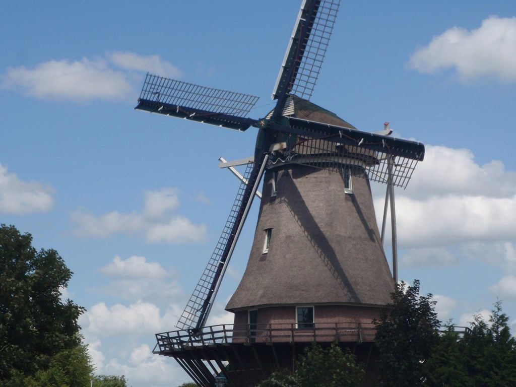 a46dbb7d-ca69-464c-9f4d-2af8063d03b1.jpg