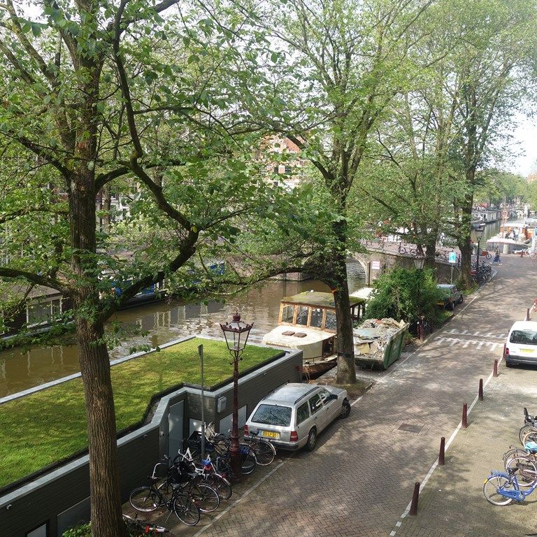 b4159af1-4600-41d5-b654-fdd5fe746bc2.jpg