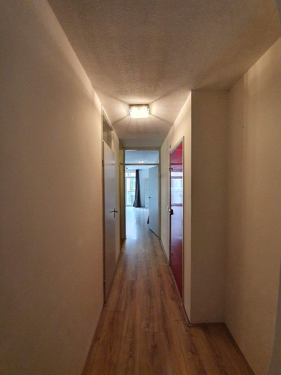 c356be7b-e777-4d70-8c05-8e1093015585.jpg
